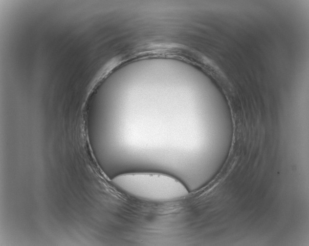 X0000062131362200512090940