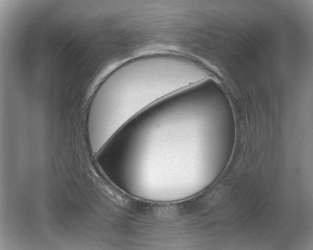 X0000062131363200512090940