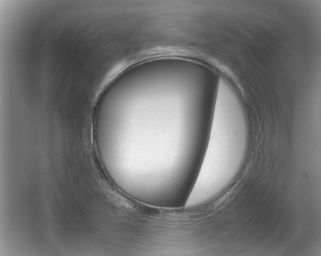X0000062131365200512090940