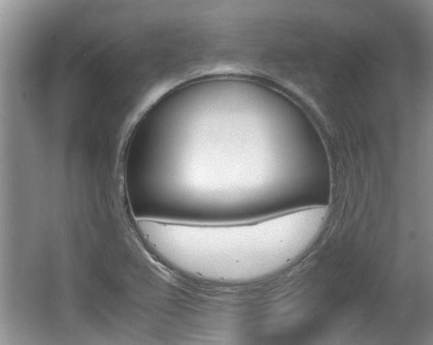 X0000062131367200512090940
