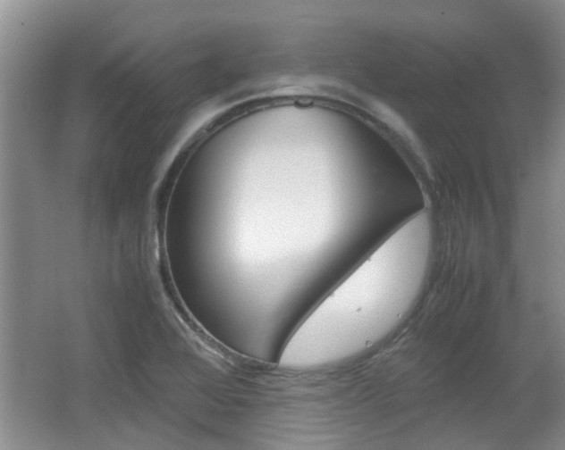 X0000062131368200512090940