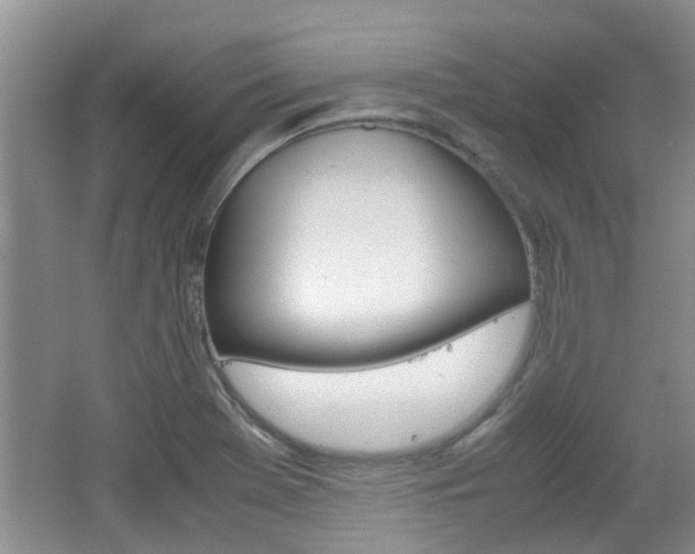 X0000062131369200512090940