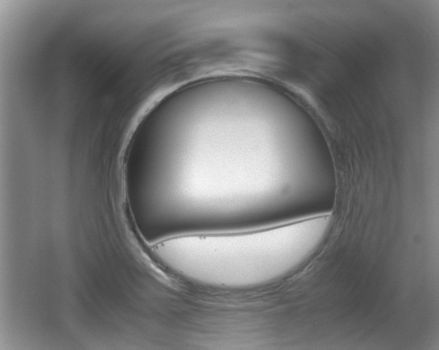 X0000062131371200512090940