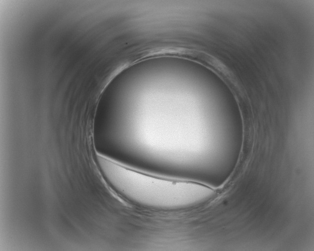 X0000062131377200512090939