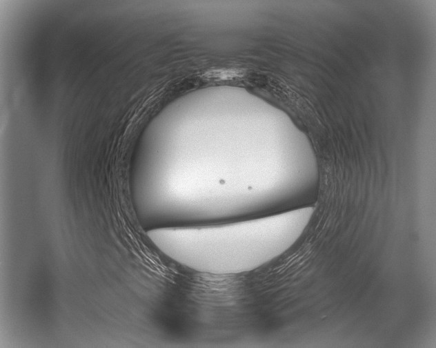 X0000062131393200512090938