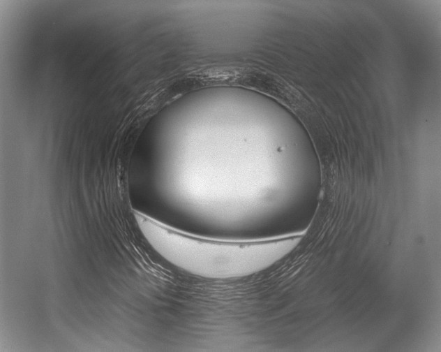X0000062131394200512090938