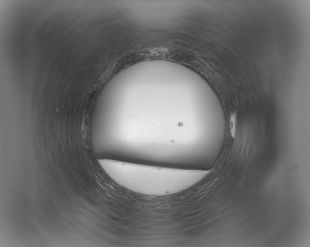 X0000062131395200512090938