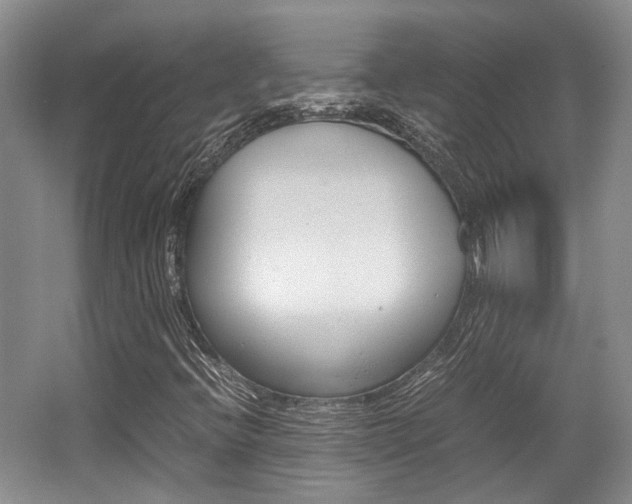 X0000062131396200512090938