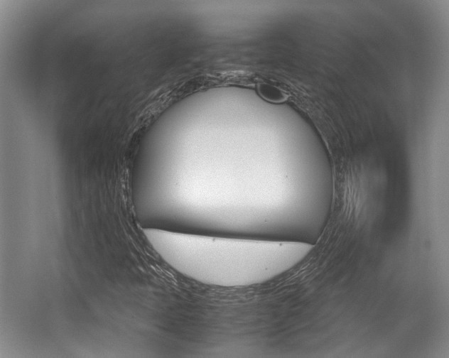 X0000062131397200512090938