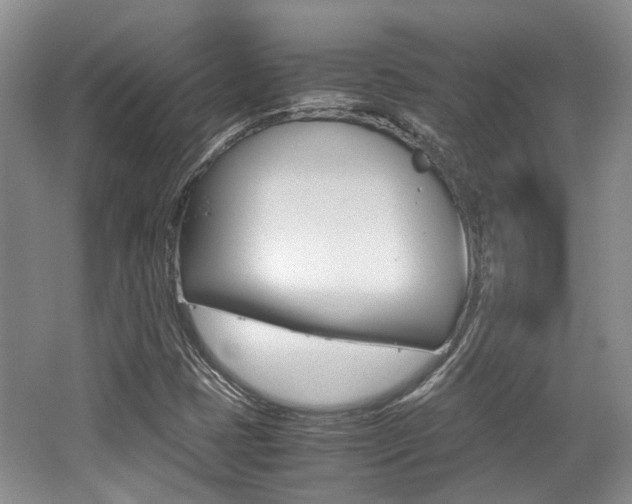 X0000062131401200512090939