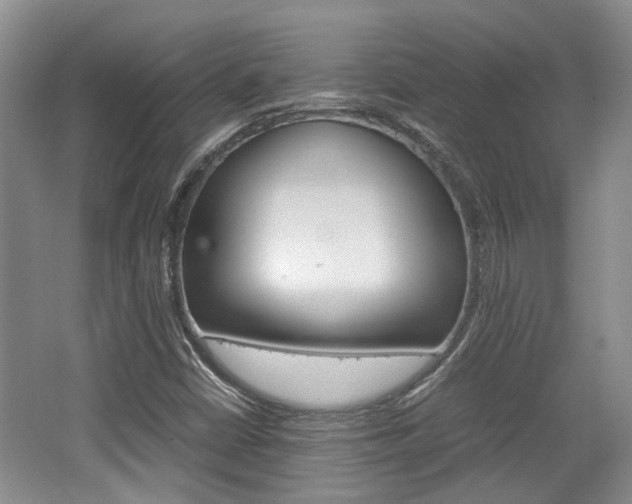X0000062131402200512090939