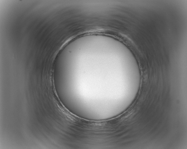 X0000062131409200512090939
