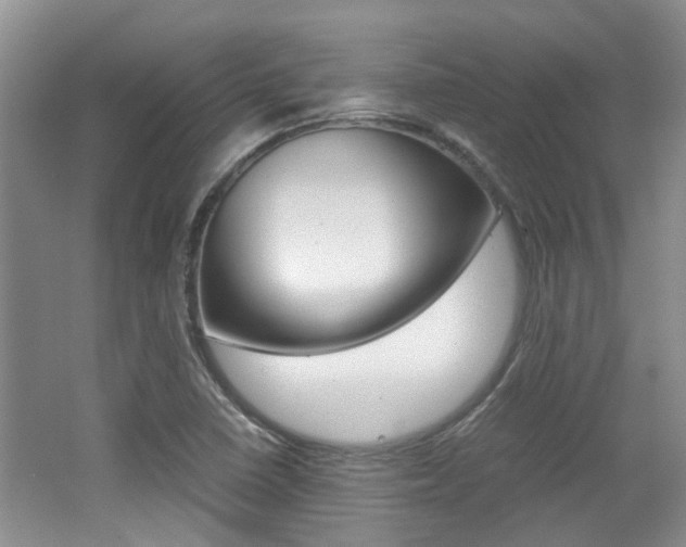 X0000062131410200512090939