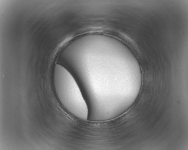 X0000062131411200512090939