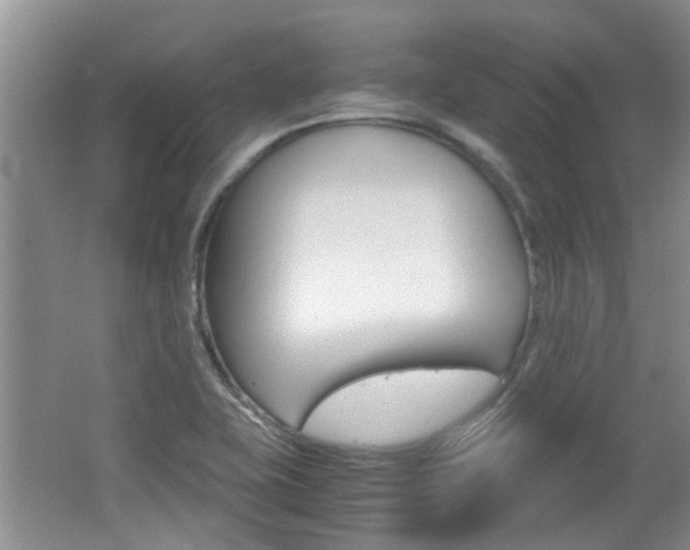 X0000062131415200512090939