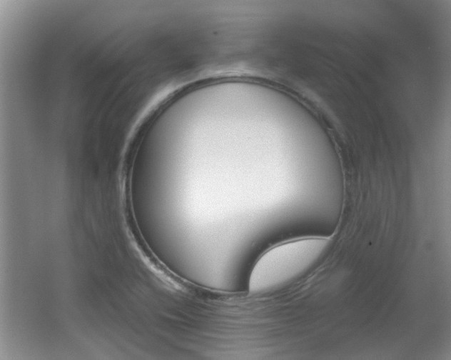 X0000062131416200512090939