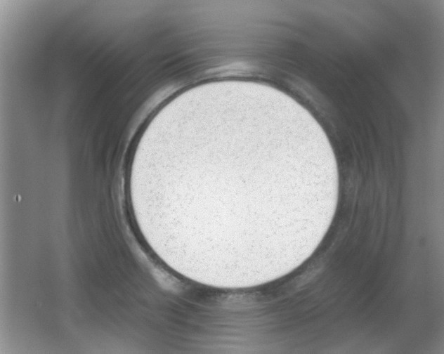 X0000062131418200512090939