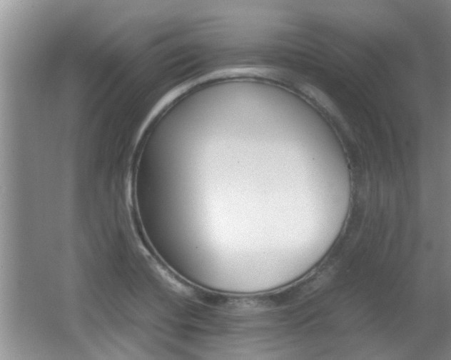 X0000062131420200512090939