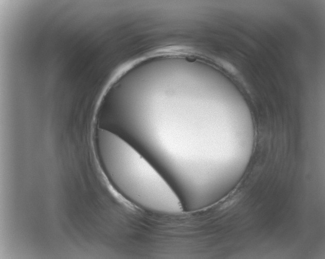 X0000062131421200512090939