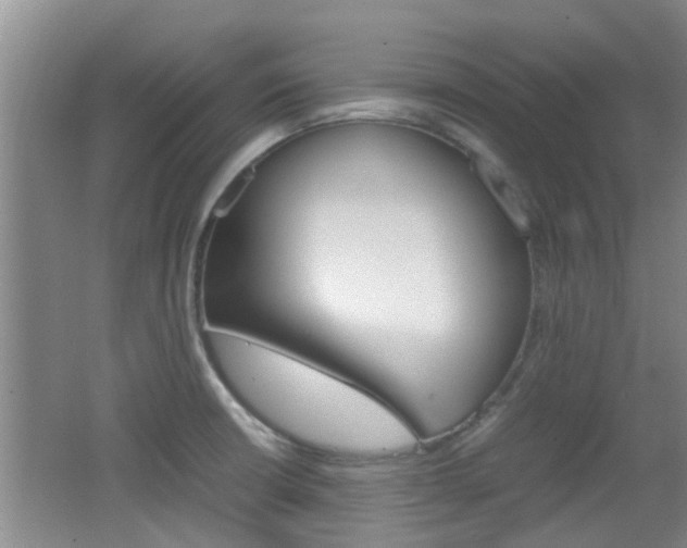 X0000062131426200512090939