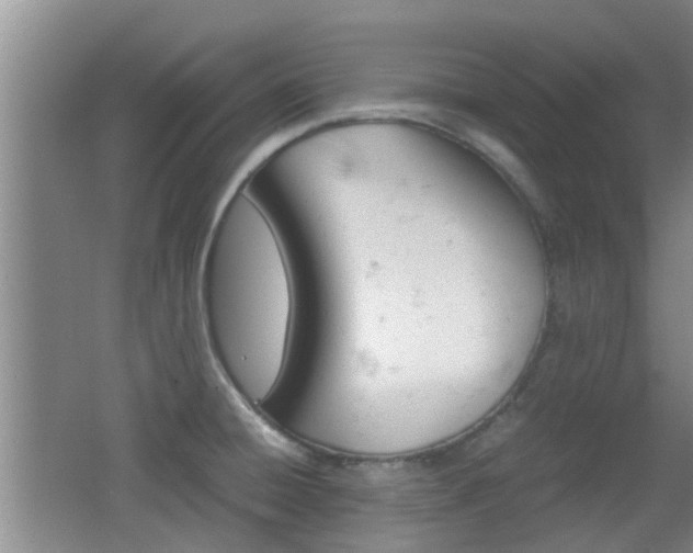 X0000062131428200512090939