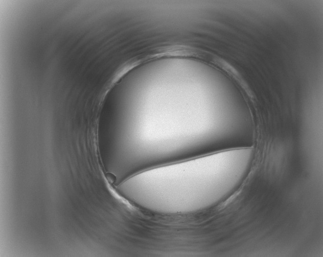 X0000062131433200512090939