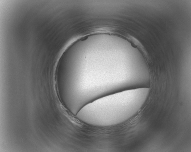 X0000062131435200512090939