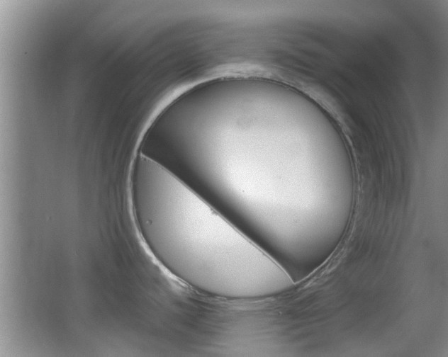 X0000062131440200512090939