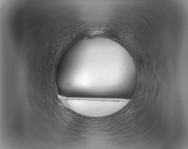 X0000062131441200512090938