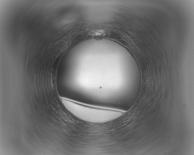 X0000062131442200512090938