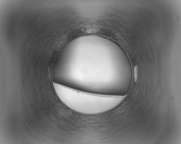 X0000062131443200512090938