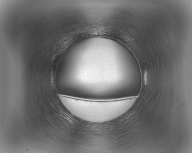 X0000062131444200512090938