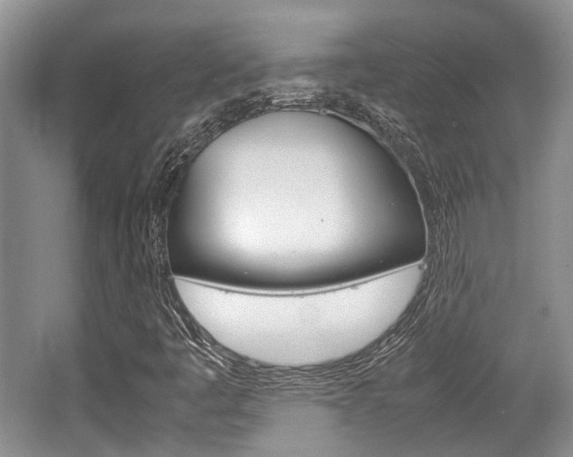 X0000062131445200512090938