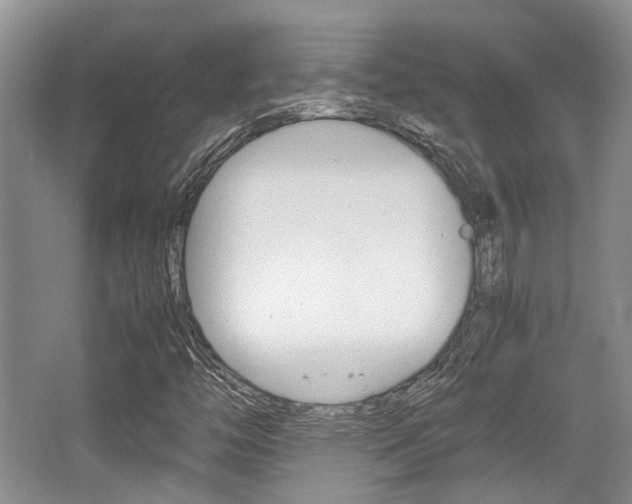 X0000062131446200512090938