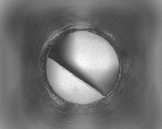 X0000062131448200512090938