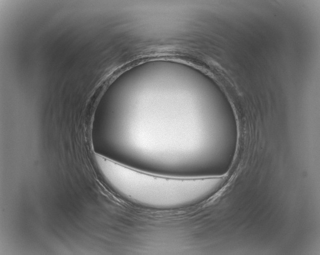 X0000062131449200512090938