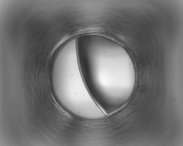 X0000062131450200512090938