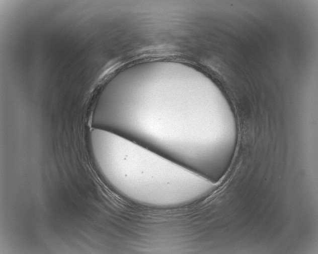 X0000062131451200512090938