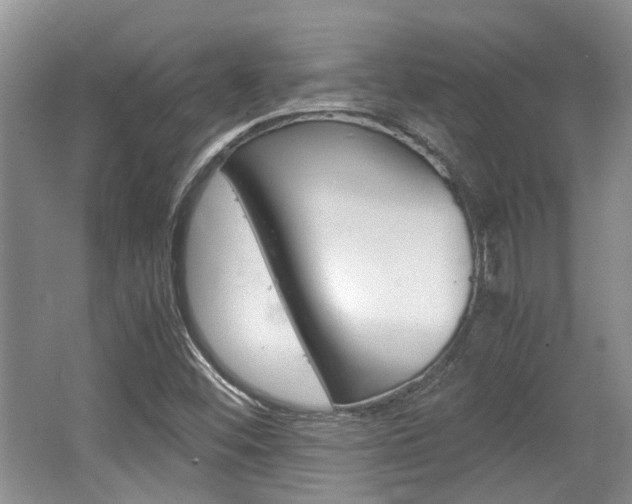 X0000062131452200512090938