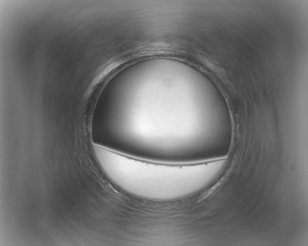 X0000062131453200512090938
