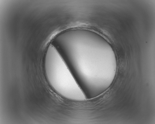 X0000062131455200512090938