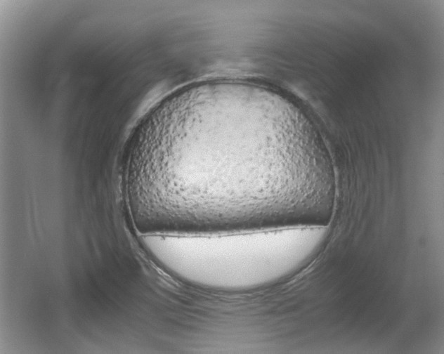 X0000062131459200512090938