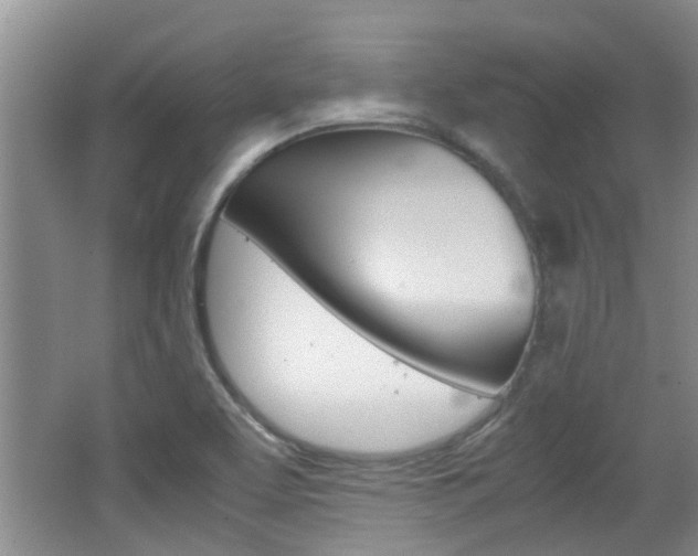 X0000062131463200512090938