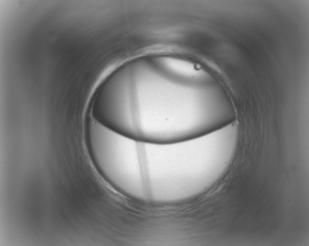 X0000062131467200512090938