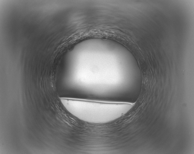 X0000062131490200512090937