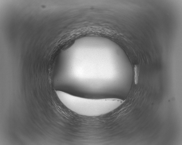 X0000062131491200512090937