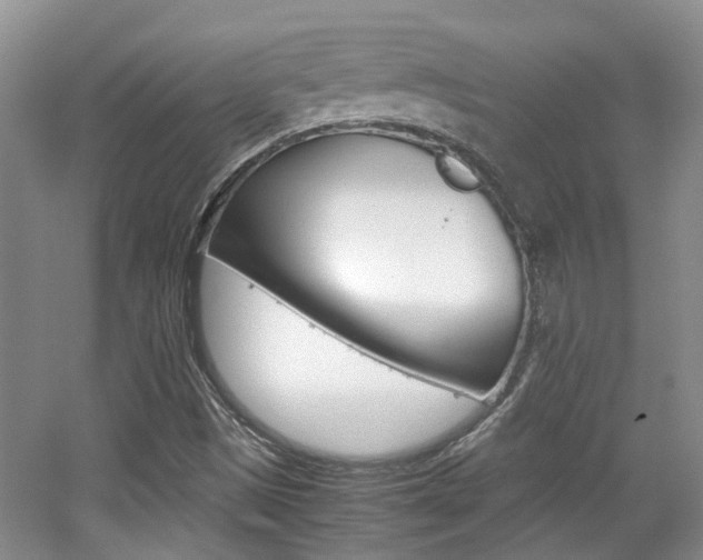 X0000062131497200512090937