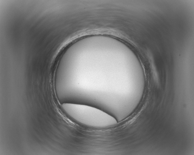 X0000062131498200512090937