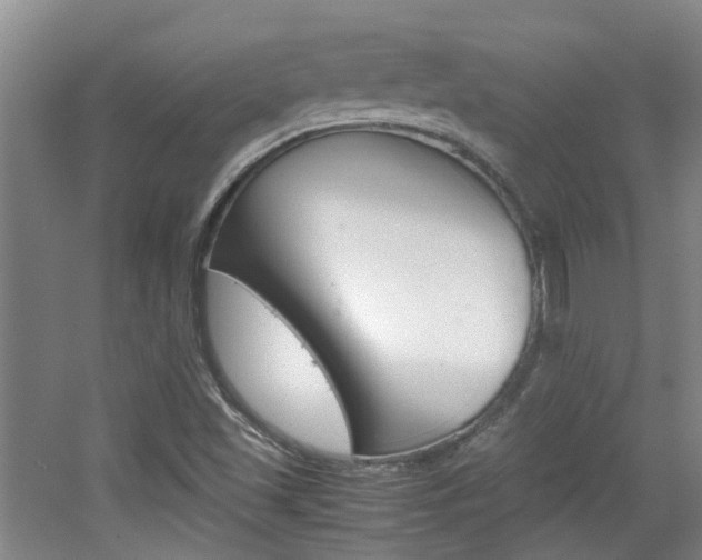 X0000062131501200512090937