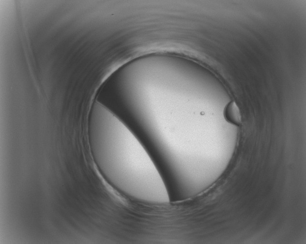 X0000062131521200512090937